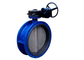 DN200 Mono Flange Butterfly Valve